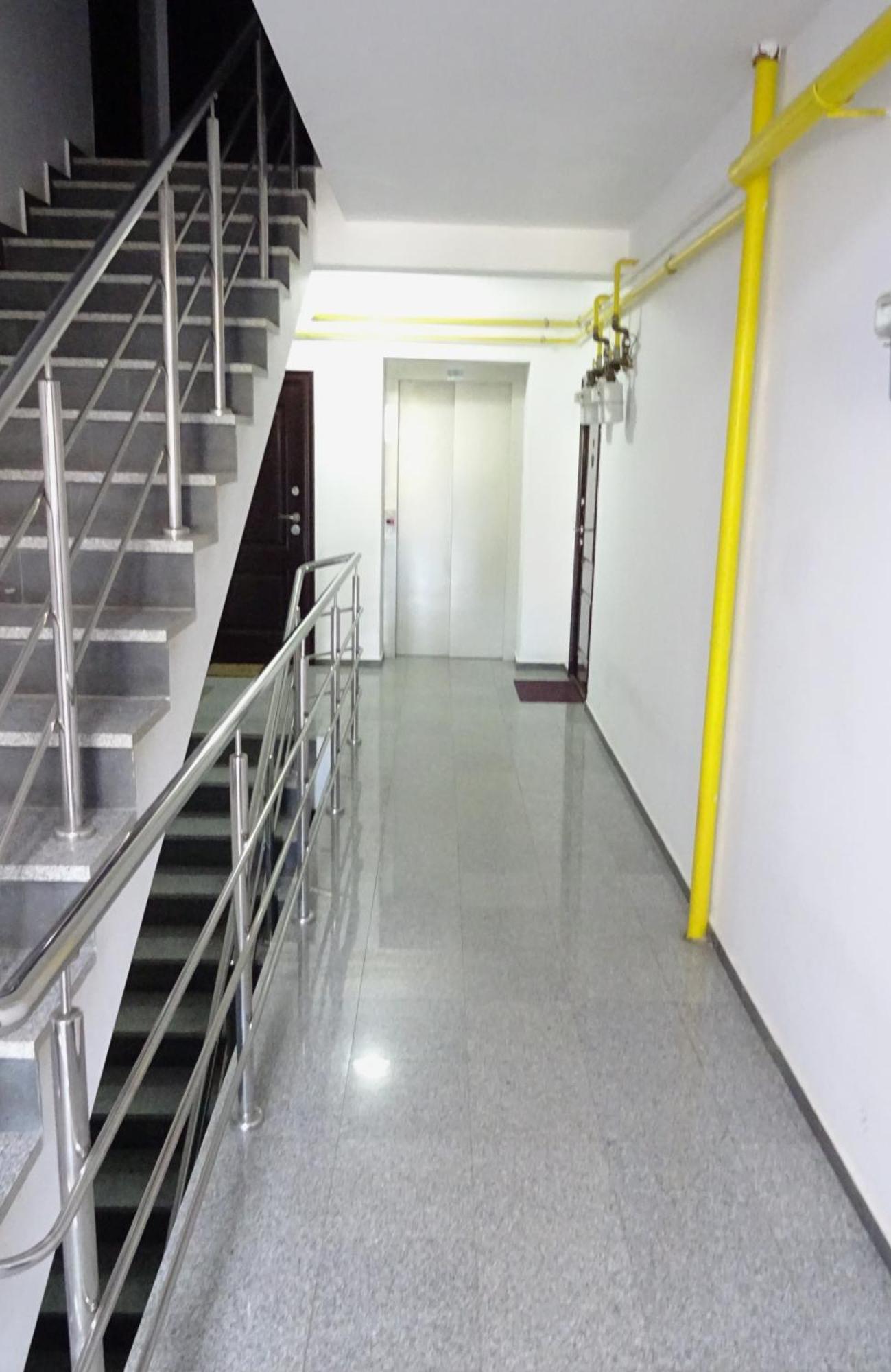 Smart Tei * Piatra Neamt